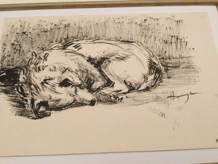 The sleeping dog. Hélène VOGT