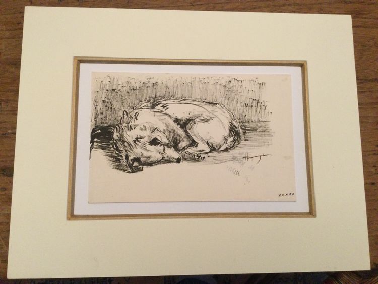 The sleeping dog. Hélène VOGT