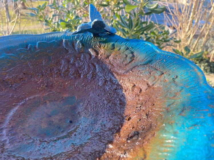 Beautiful ornate bird bath on a stand in cast iron Napoleon III lacquered in intense blue