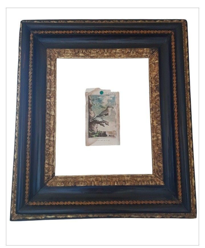 17th century Italian frame