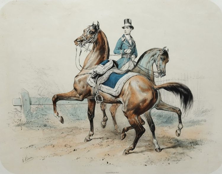 Horses Lithograph By Adam 19th C Old Print