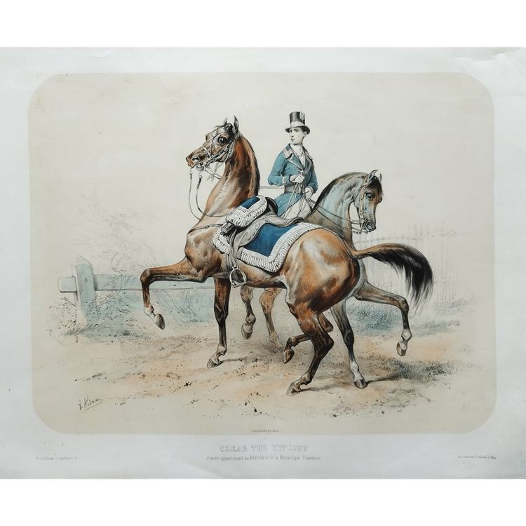 Horses Lithograph By Adam 19th C Old Print