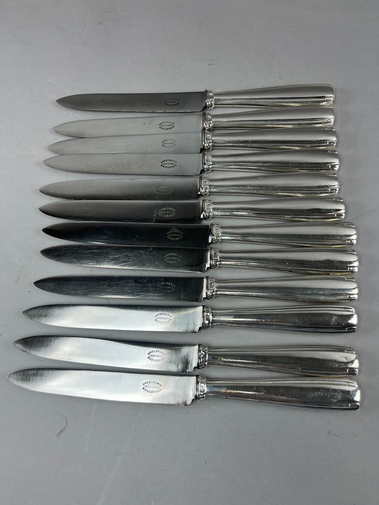 12 BOULANGER table knives Betty model