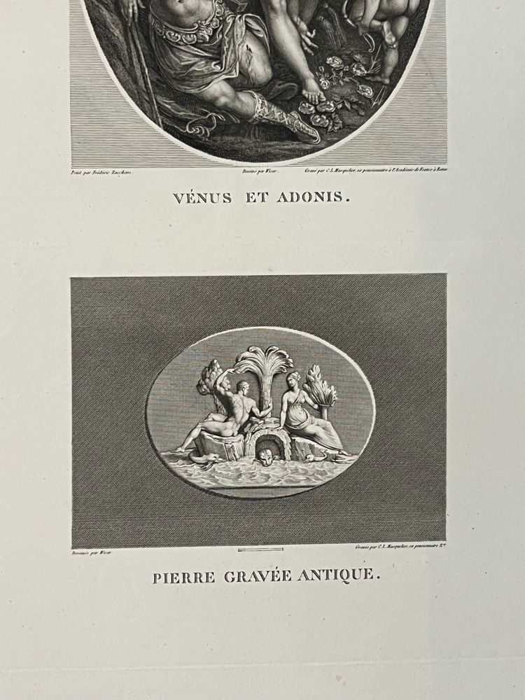 Venus et Adonis, Zucchero, Les Jardins de l’Océan Pierre gravée antique Gravure à l'eau forte