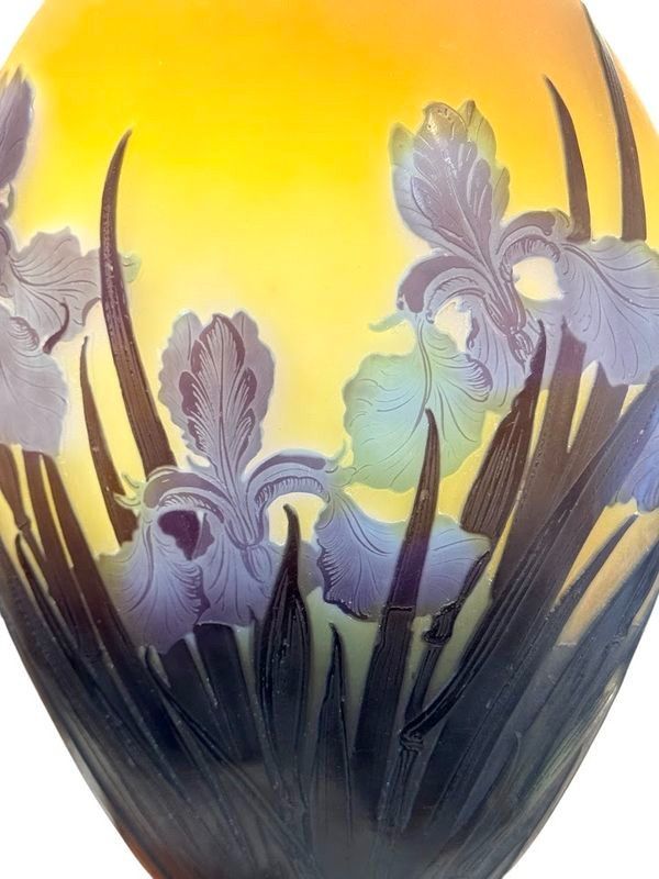 Emile Gallé Vase "With Irises"