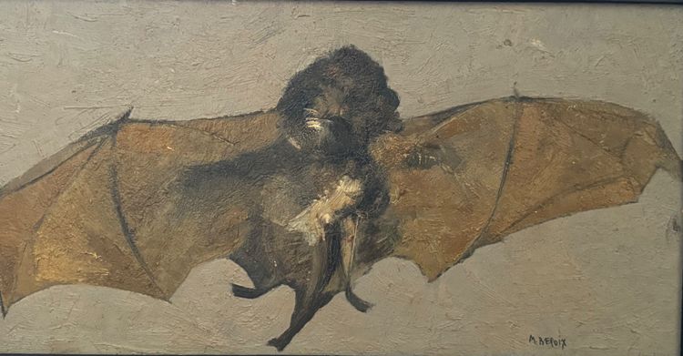 Portrait of a bat