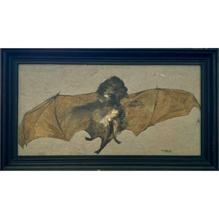 Portrait of a bat