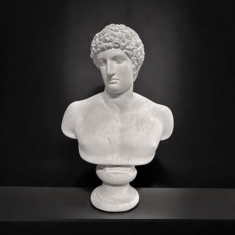 Large bust after the antique Hermes called "antinous Albani" 20th century plaster H 70 cm