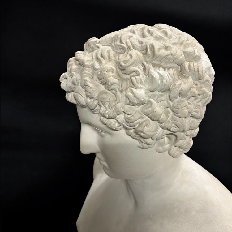 Large bust after the antique Hermes called "antinous Albani" 20th century plaster H 70 cm