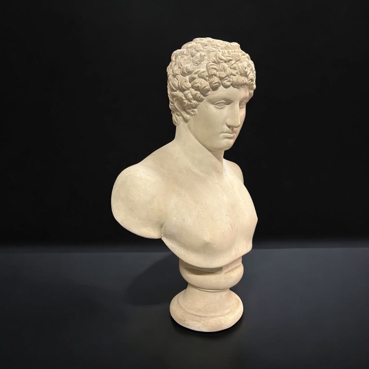 Large bust after the antique Hermes called "antinous Albani" 20th century plaster H 70 cm