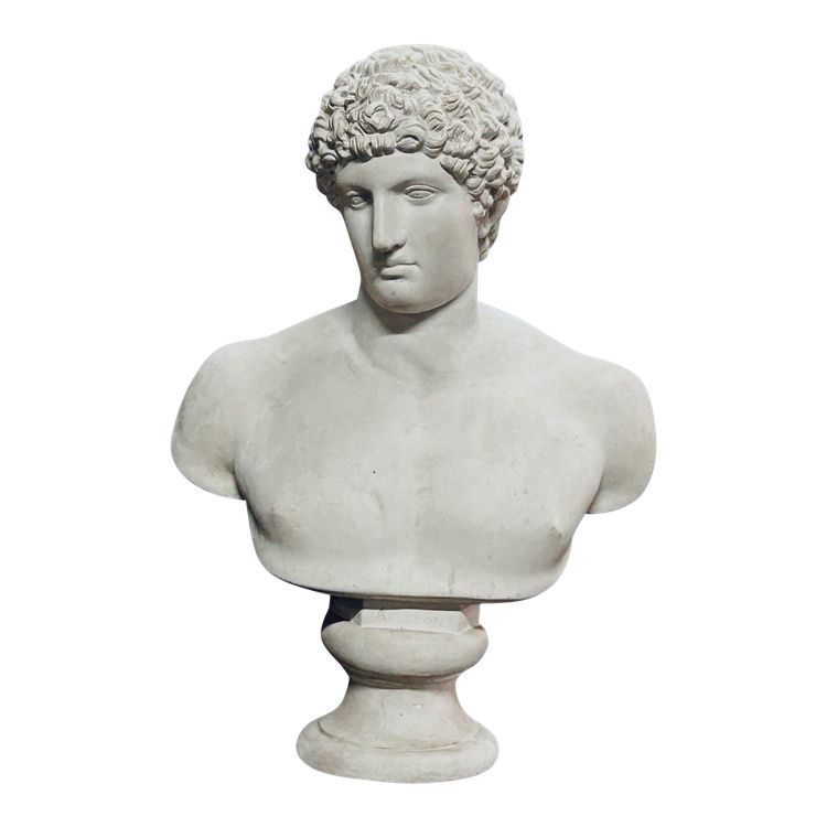 Large bust after the antique Hermes called "antinous Albani" 20th century plaster H 70 cm