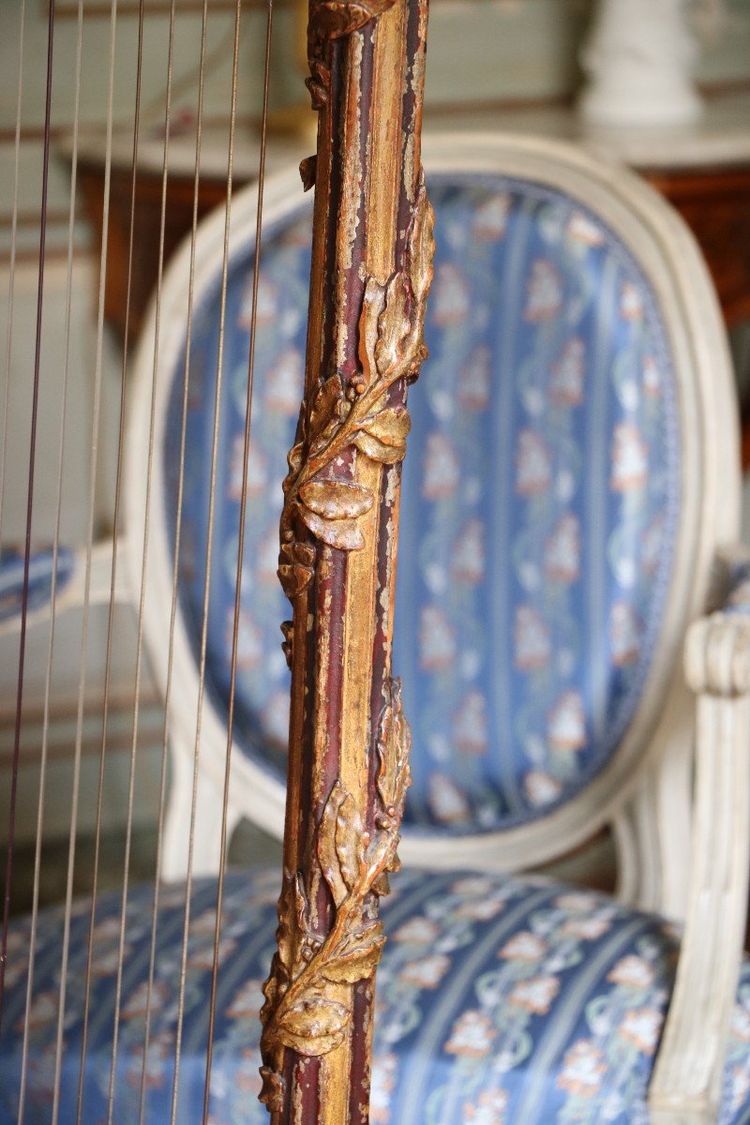 Louis XVI period gilded and carved wooden pedal harp