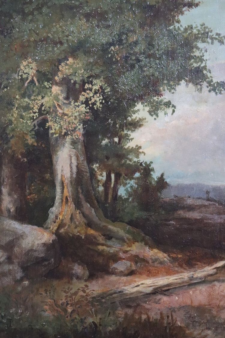 Forest Landscape, Oil Painting on Canvas, Late 19th Century