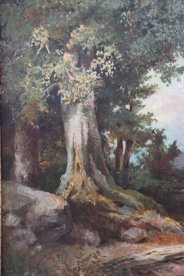 Forest Landscape, Oil Painting on Canvas, Late 19th Century