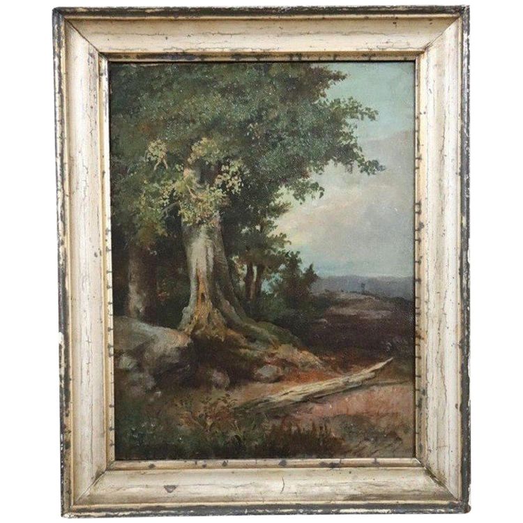 Forest Landscape, Oil Painting on Canvas, Late 19th Century