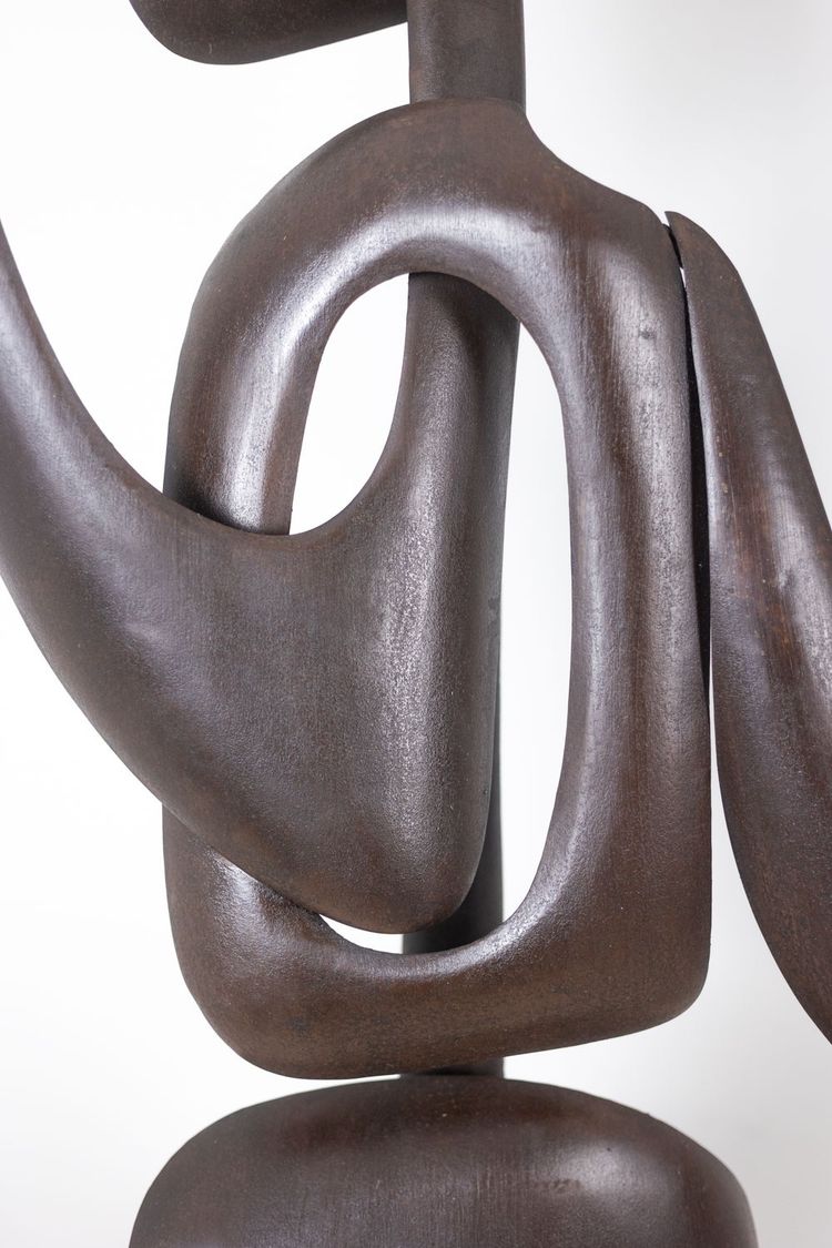 Antonine de Saint Pierre. Curved metal sculpture. Contemporary work. LS62278160