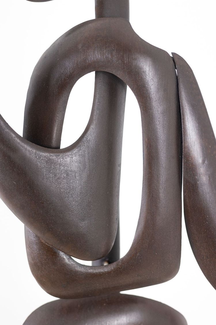 Antonine de Saint Pierre. Curved metal sculpture. Contemporary work. LS62278160