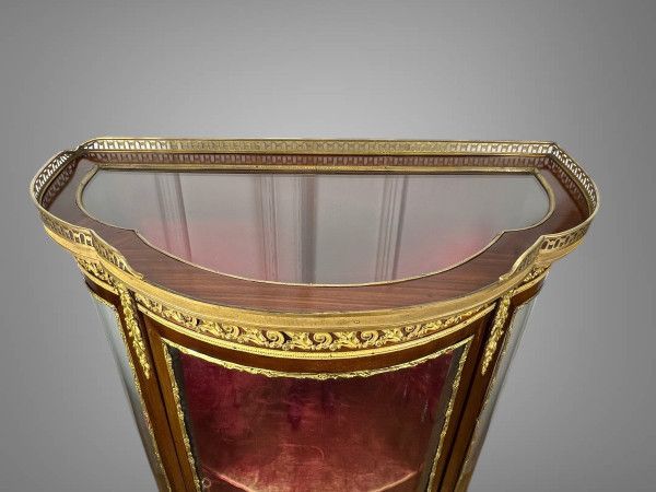 1/2 MOON GLASS CAGE DISPLAY CASE IN MARQUETRY AND BRONZE FROM THE NAPOLEON III PERIOD