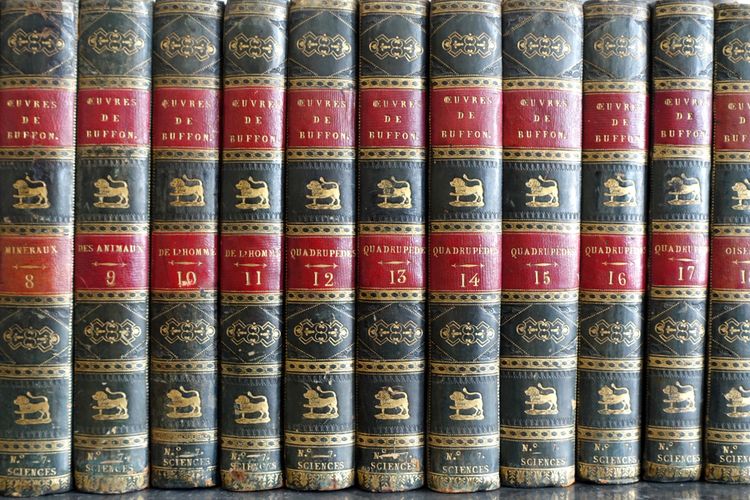 Buffon's Natural History, 26 volumes and colorized plates - fine leather binding - 1829