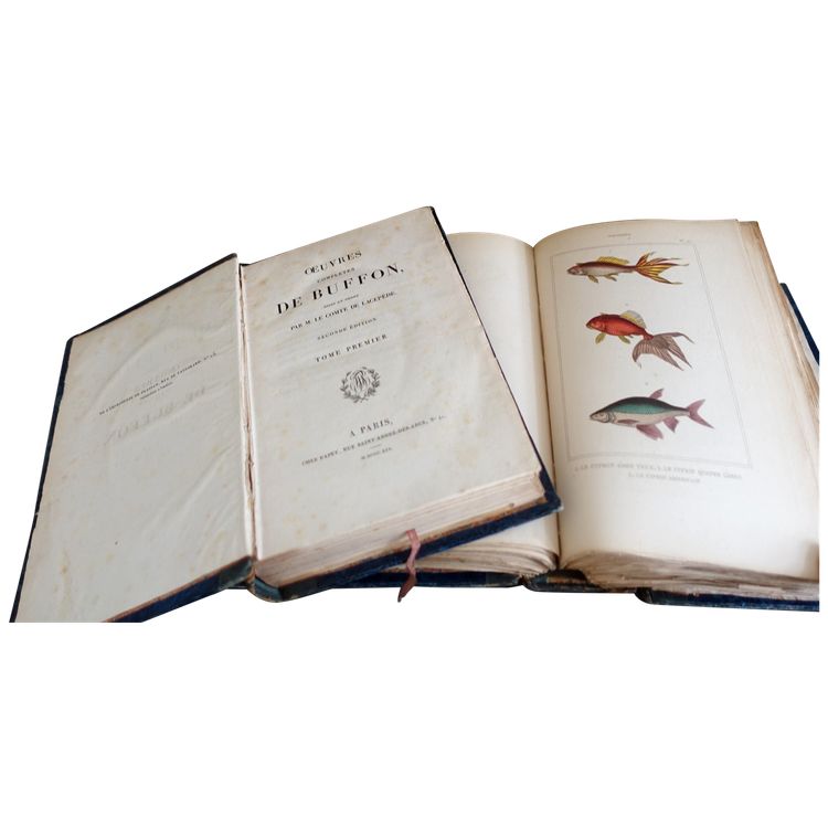 Buffon's Natural History, 26 volumes and colorized plates - fine leather binding - 1829