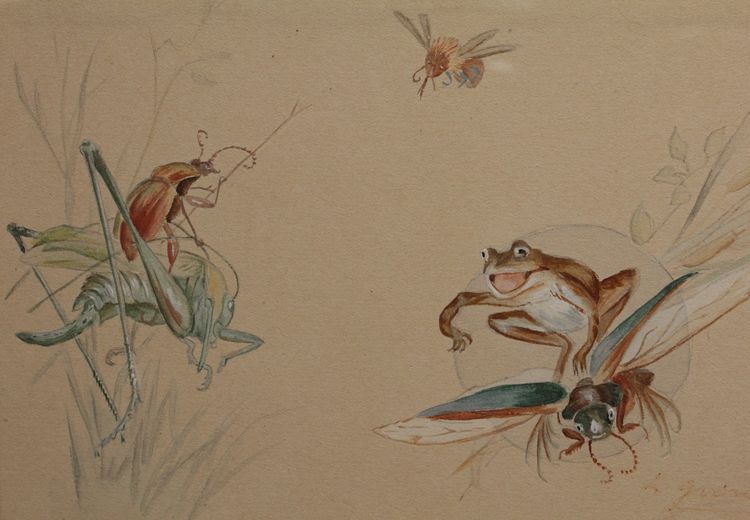 Humoristische Studie 'Frosch und Insekten' signierte Gouache-Zeichnung um 1920