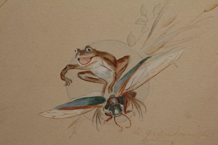 Humoristische Studie 'Frosch und Insekten' signierte Gouache-Zeichnung um 1920