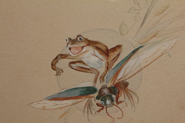 Humoristische Studie 'Frosch und Insekten' signierte Gouache-Zeichnung um 1920